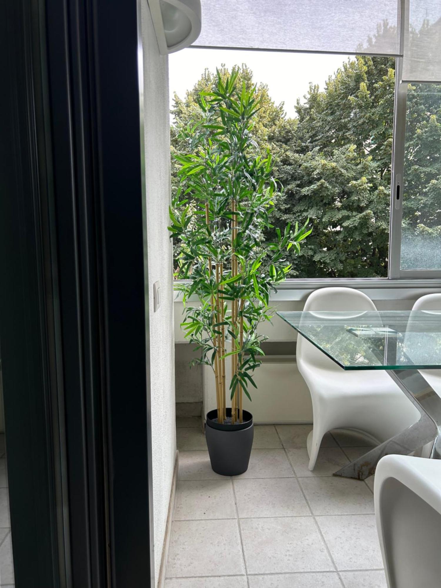 Dina Suite Roma Eksteriør bilde
